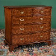Antique English oak and oyster burl walnut chest with cross-branded top and bracket feet, c. 1830